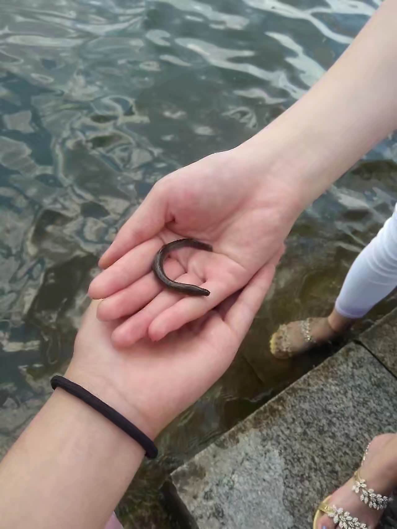 成功抓到一条小泥鳅,最后被放生啦.