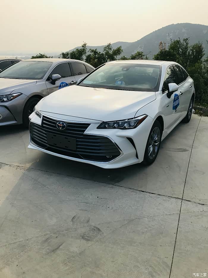 迟到的提车贴白色亚洲龙帅气的白马王子