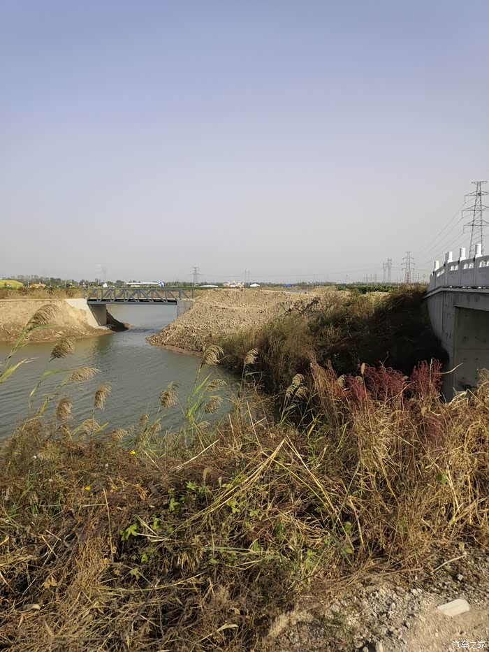 游东营白鹭园湿地