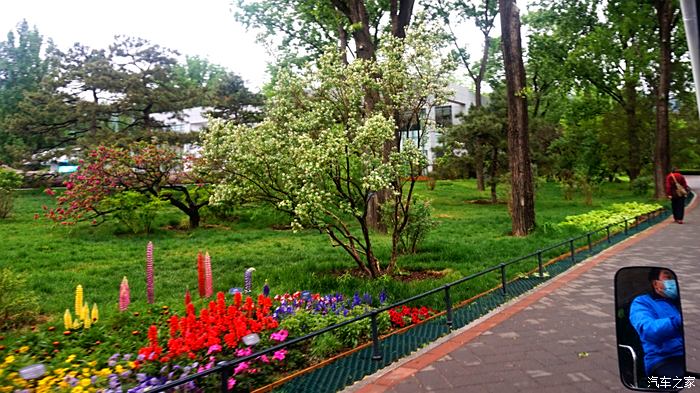 五一曬旅行日記跟著老婆全國遊北京篇國家植物園