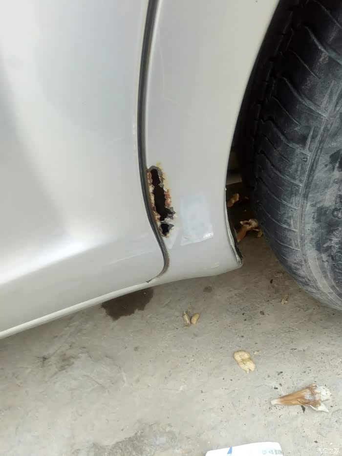 左后叶子板锈透了