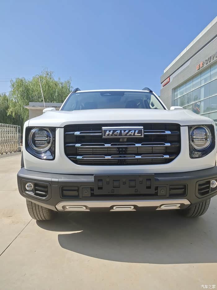 哈弗大狗我心中的男神