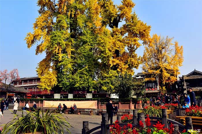 漫步街子古镇 探幽青城前山