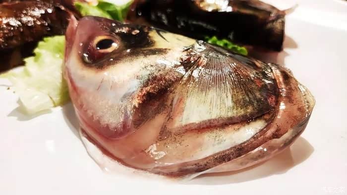 打卡网红鱼头夜逛吃世界美食之都