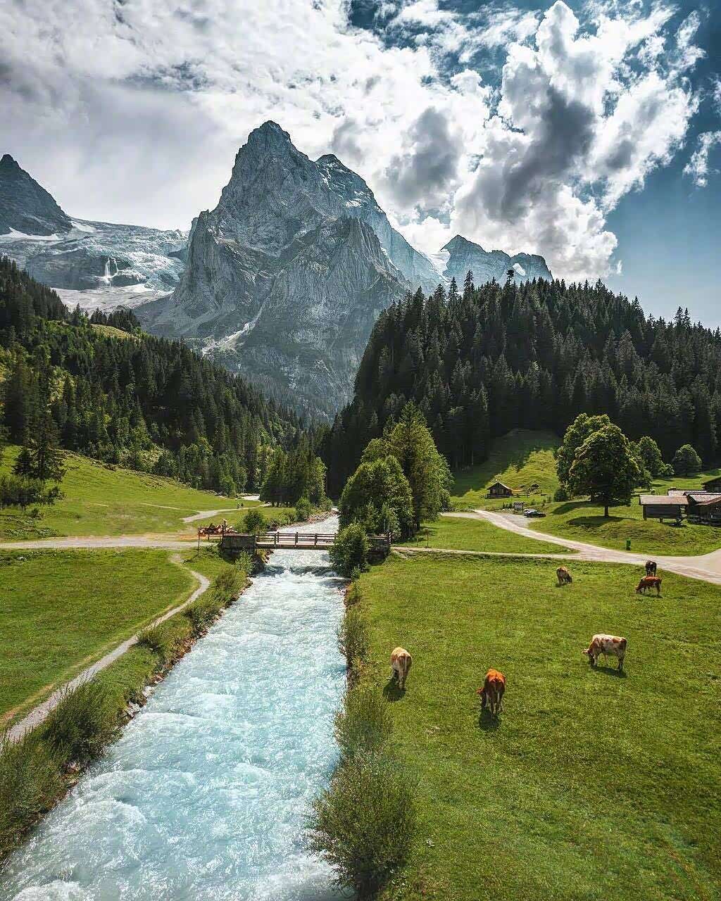 镜头下的瑞士恬静而美好