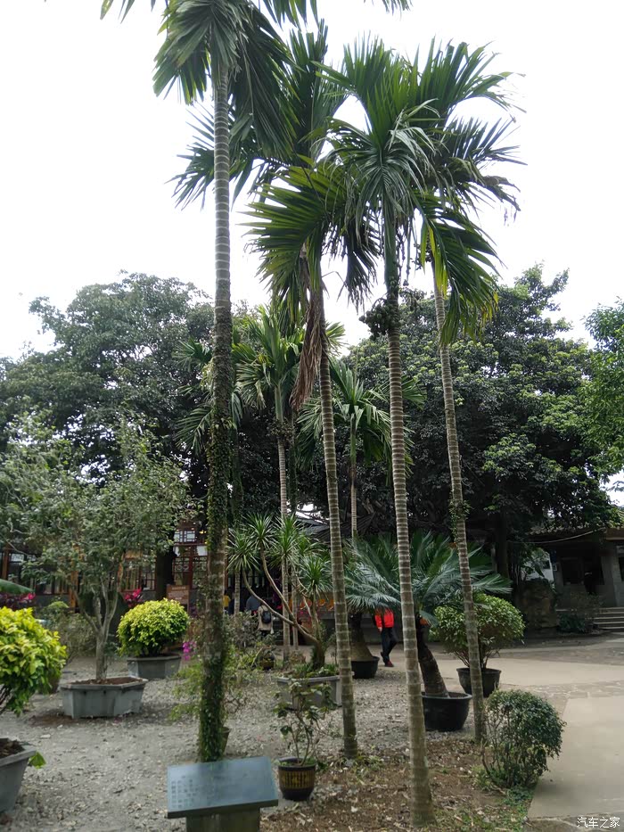 【东风风行景逸x5杯】—记2018春节上海到海南10000里长途自驾游