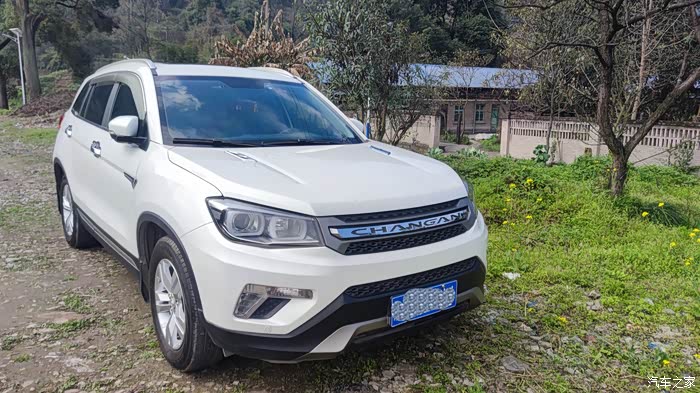 感受春天的气息,cs75带你打卡重庆新网红景点---白沙沱长江大桥