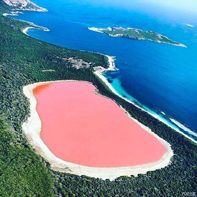 澳大利亚希利尔湖真是少女心爆表粉色的看起来很暖心