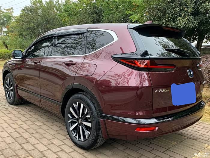 关关雎洲在河之洲所谓伊人罗曼紫皓影