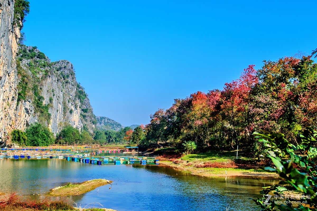 桂林乌桕滩秋天的景色也很美,枫叶红