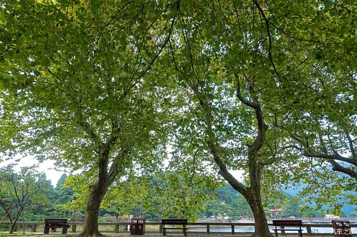 英雄城浪起來—(廬山西線牯嶺鎮,花徑公園)