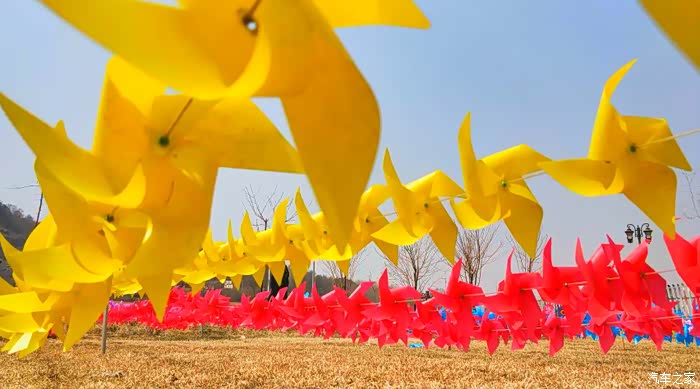 你好2021初春自驾风车节下