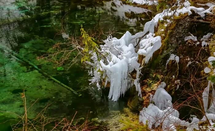 看这里树枝,面雪融化,然后又冻,就形成这冰琉璃.