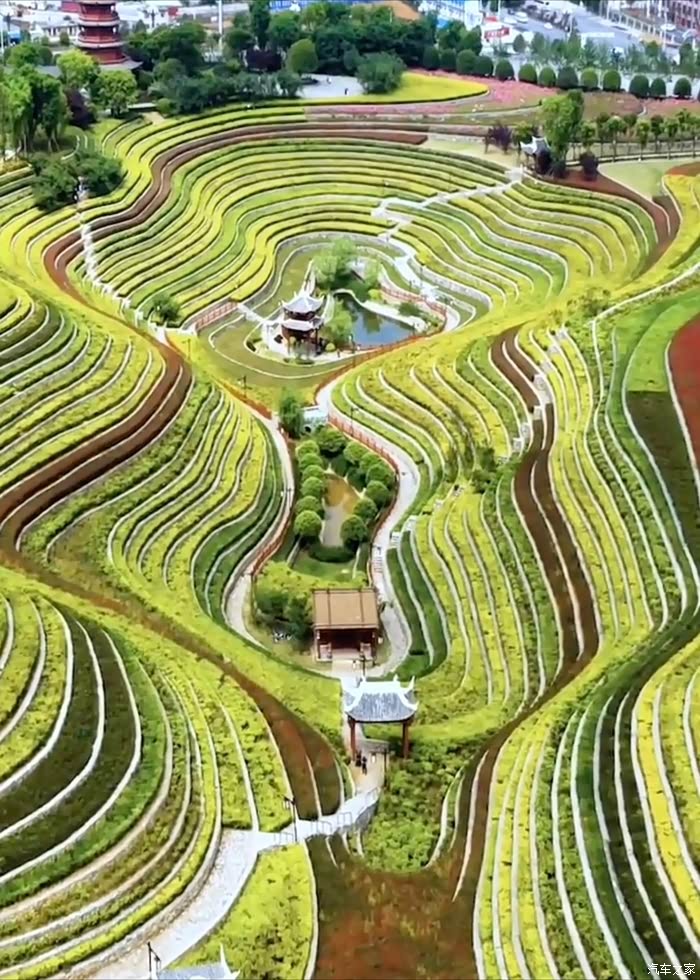贵州毕节大方县花海梯田