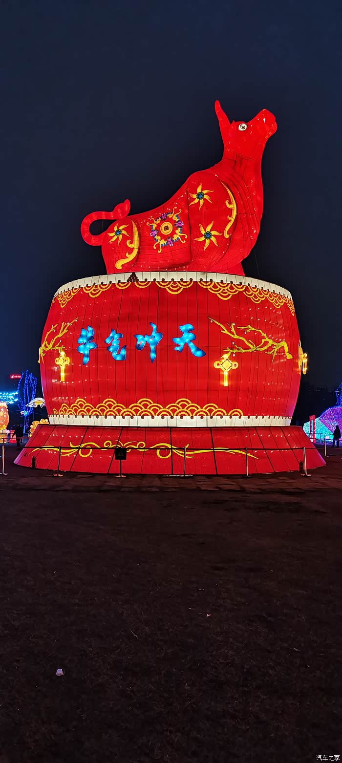 新年迎好运看园博园2021年花灯