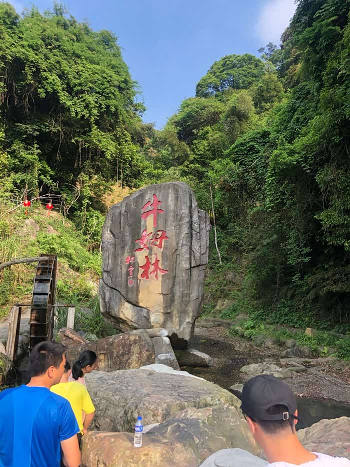 来牛姆林呼吸新鲜空气,看猴子