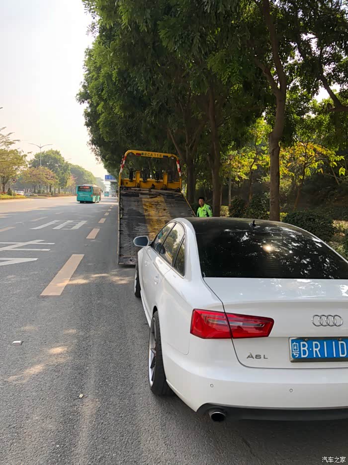 准备乖乖上拖车