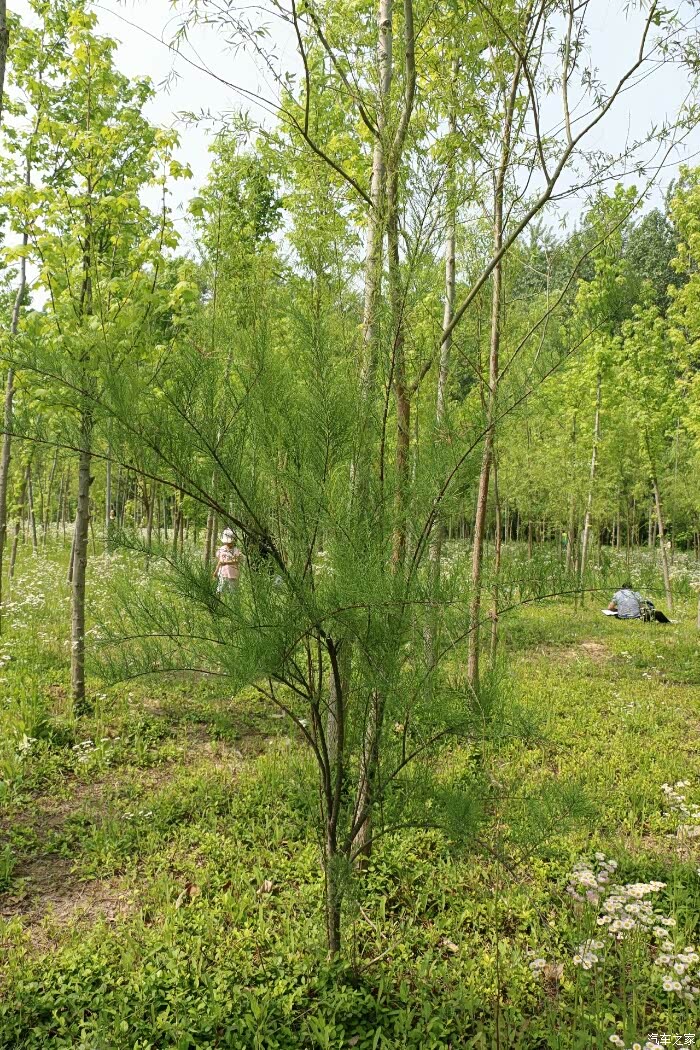 以这样的方式陪老母亲过节