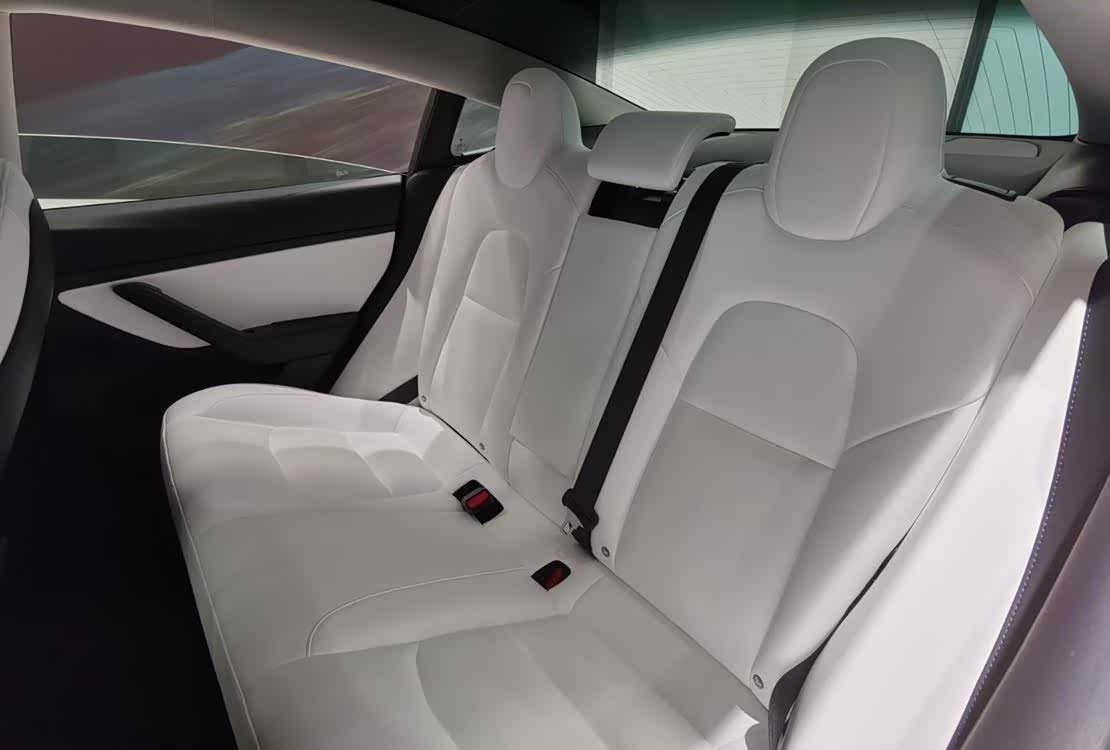 大家感受一下,model 3白车白内,处女座最爱