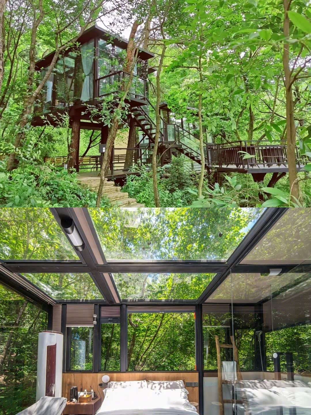 小仙女必打卡的樱花树屋有这么一间透明玻璃树屋