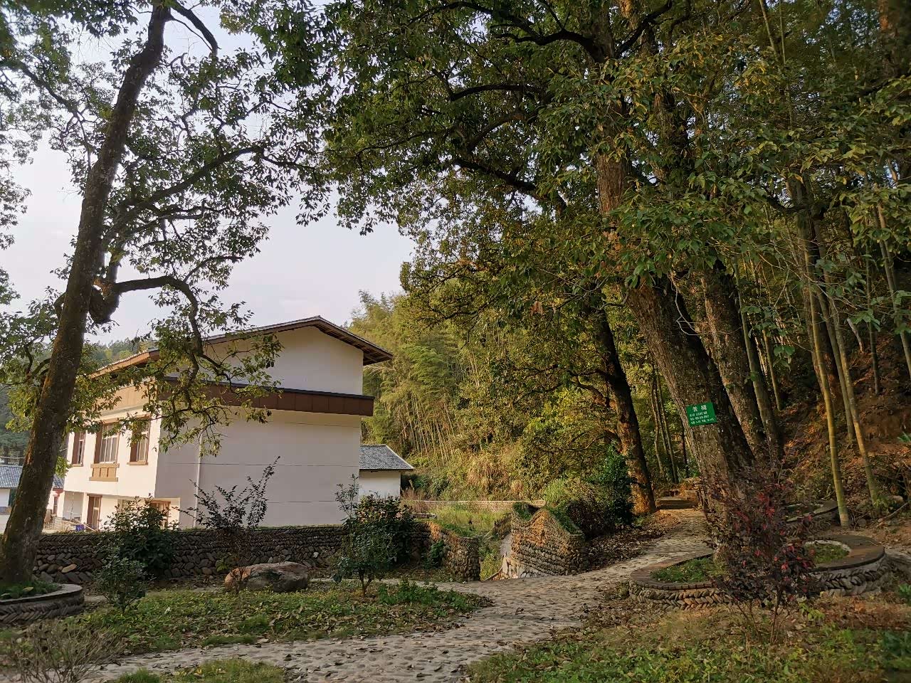 永宁镇坪田村乡村一角