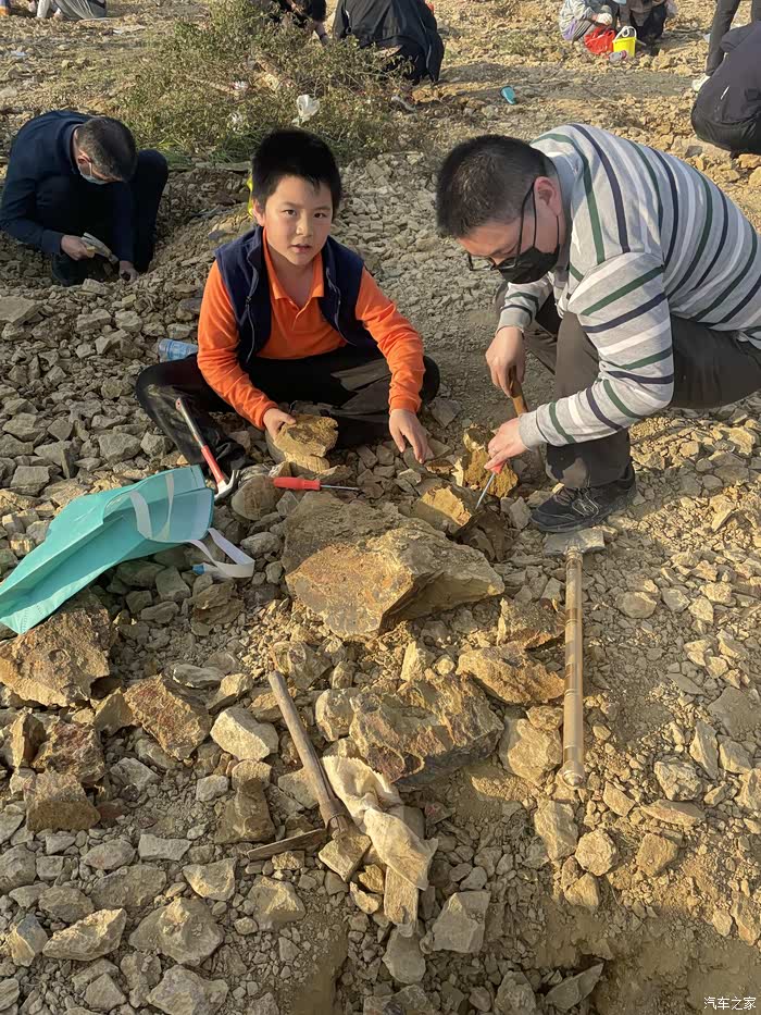 五一武汉蔡甸废弃矿山挖化石