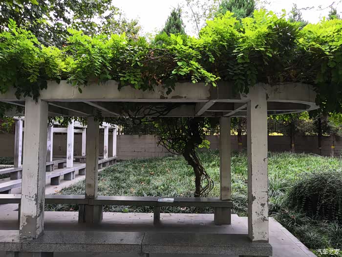 【雪域英雄战队】薇波公园游园13