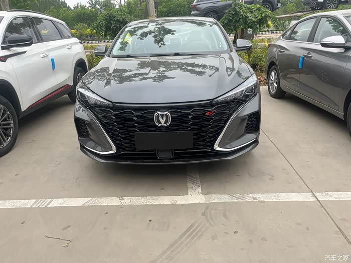 安第斯灰的逸动plus