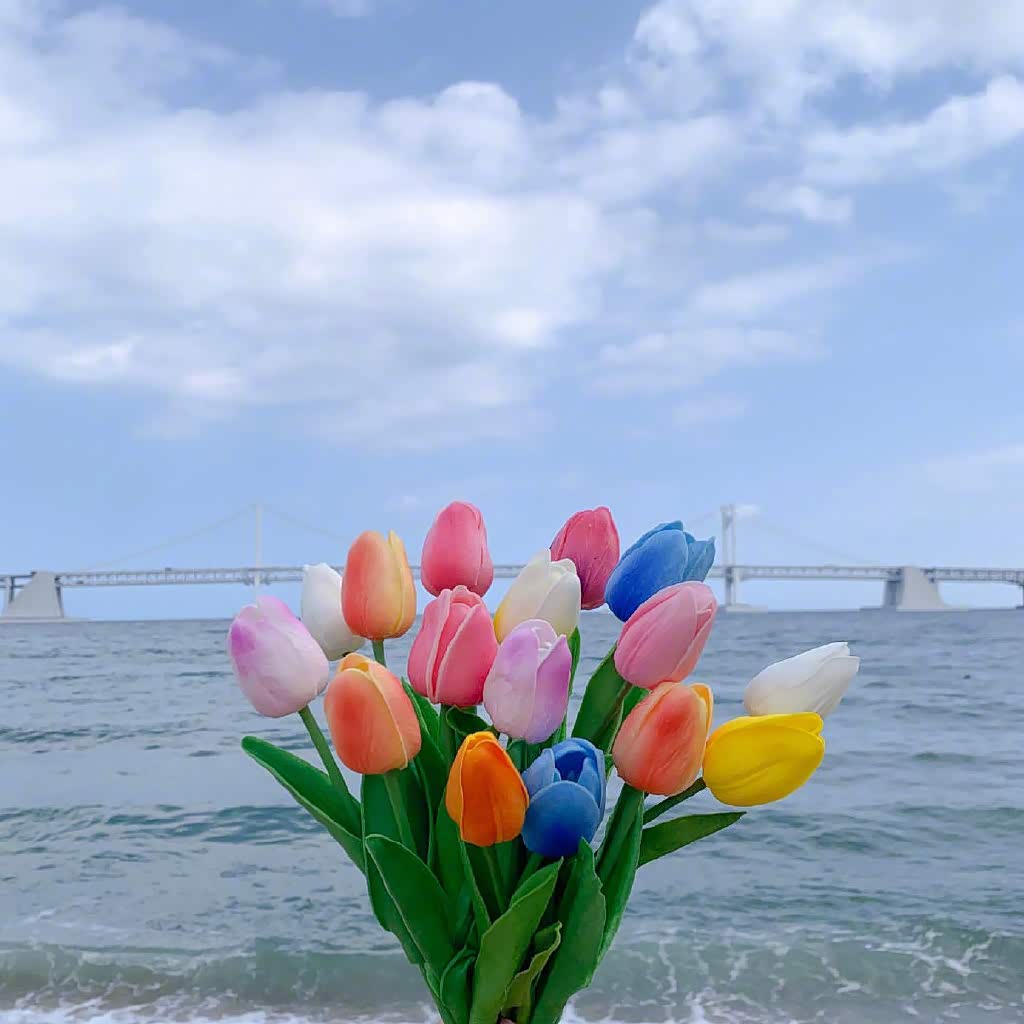 一束花带来一天好心情