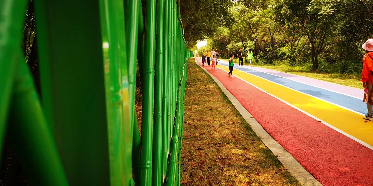 这种彩色的健康步道才是最受朋友们的欢迎