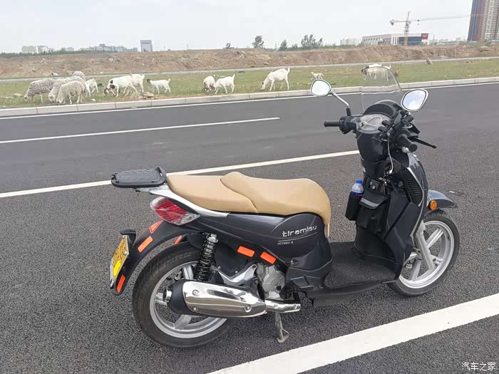 圣甲虫200改装台湾高手窝xpro减震多图