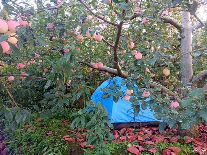 花海果都九襄品美食赏风景自驾游