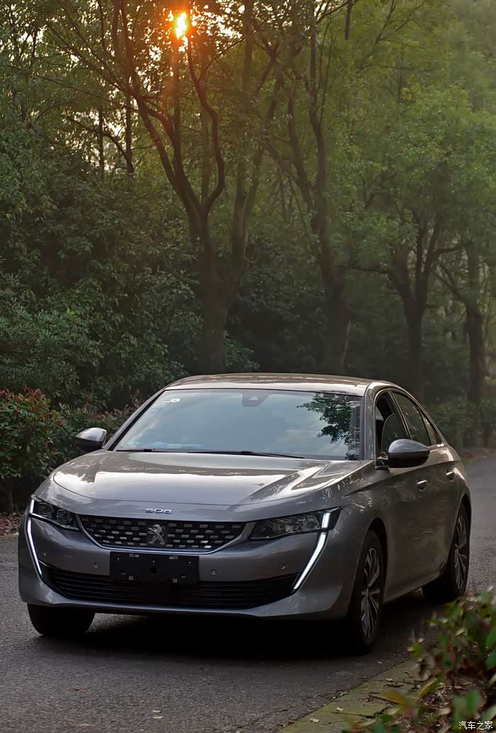 优雅大气的银翼灰508l和大自然的亲密接触1230新增照片