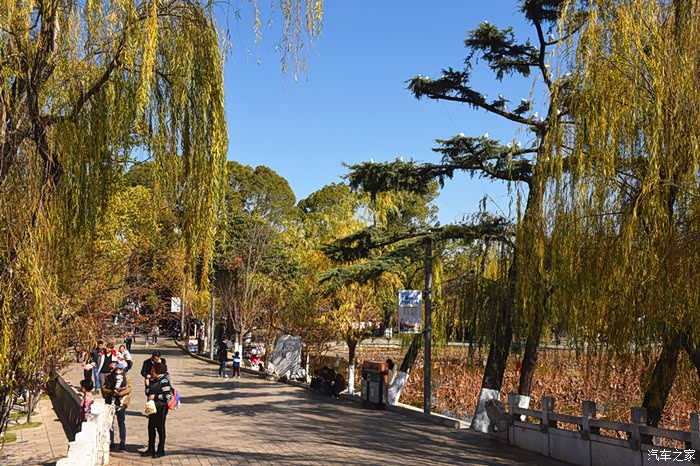 避暑生活双节为伴春城昆明翠湖公园冬游记
