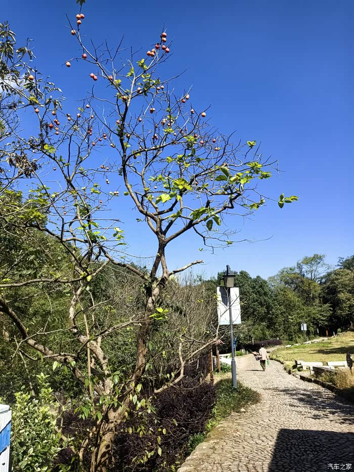 重游唐诗之路新昌斑竹之行