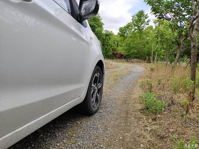 郊外的小樹林,以前開車從來沒敢開進來過,因為車大,轉彎不好轉啊,現在