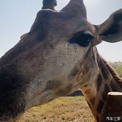 章丘野生动物园第二季