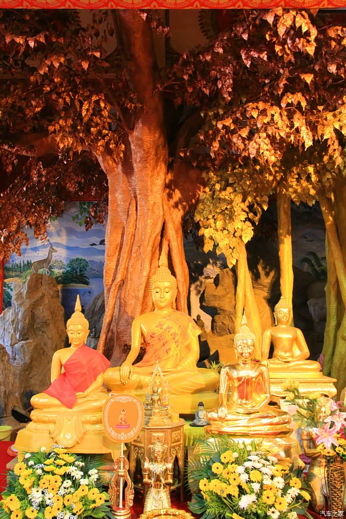 菩提树下的佛祖.