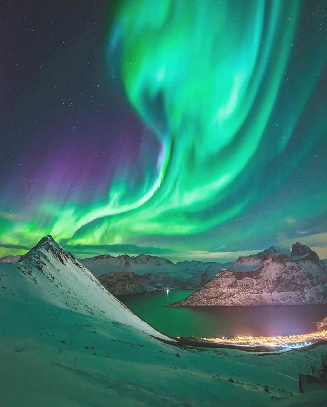 北极的极光,好久没见了吧 !