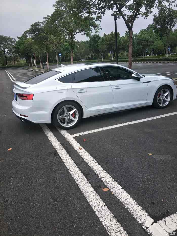 【图】全国17款a5新款首改电动尾翼【广东东莞】_奥迪a5论坛_汽车之家