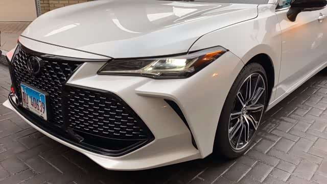 亚洲龙鱼骨灯蜂窝中网嗯真香