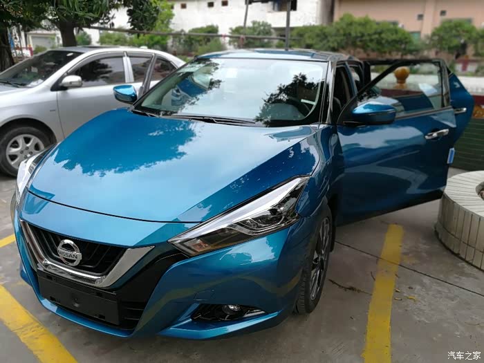 喜提大蓝鸟日后会好好疼你