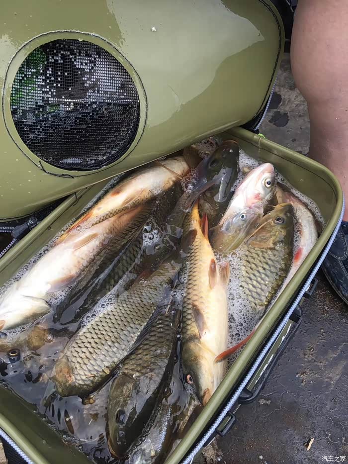 自驾g3去佛子岭水库钓鱼