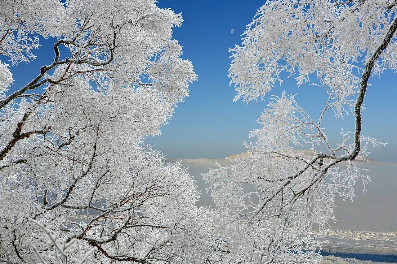 凤县雪景图片