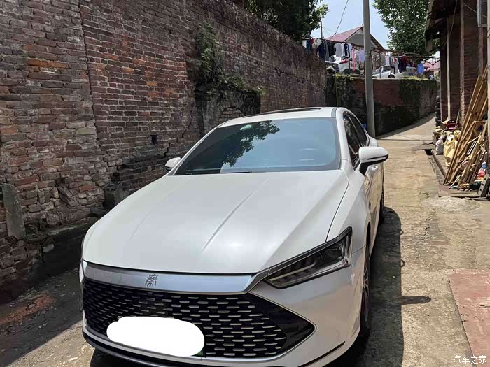 秦plusdmi冠军版白色好看