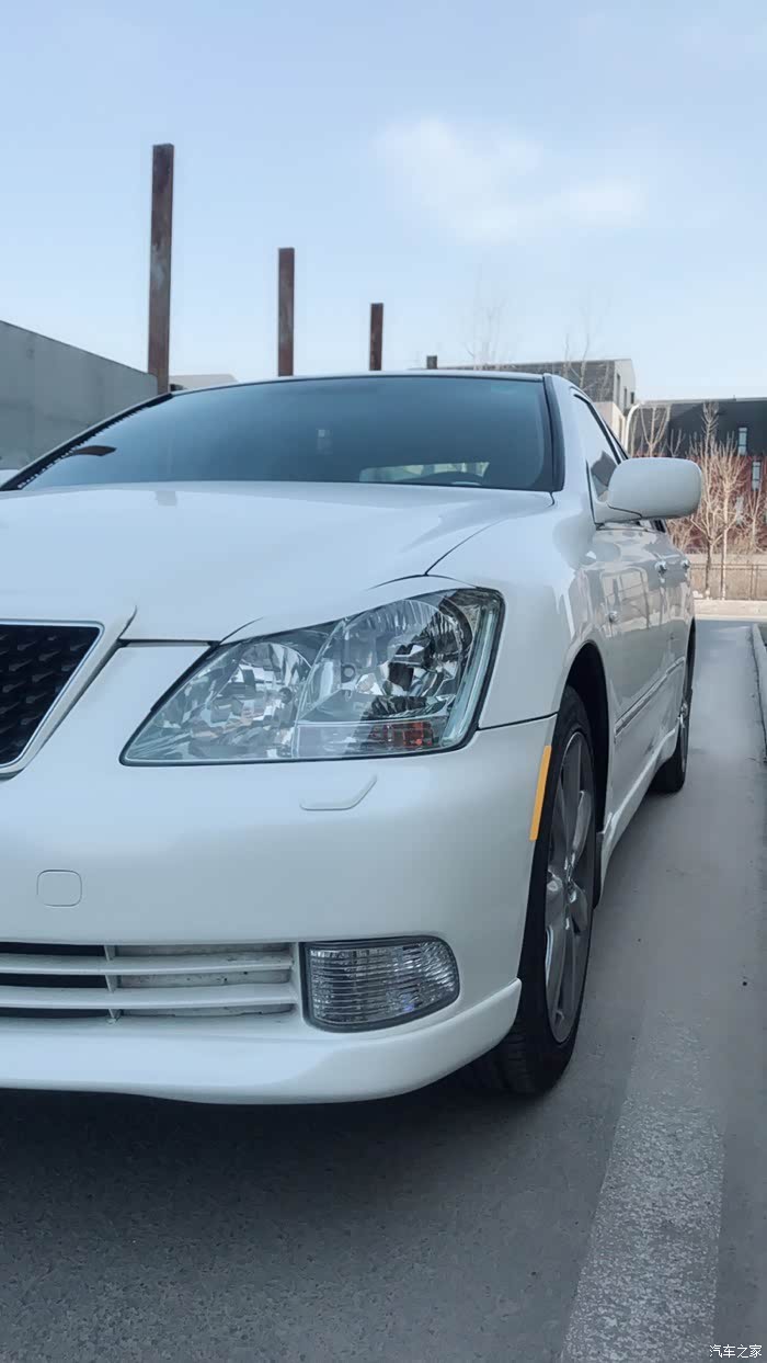 十二代珍珠白vip皇冠