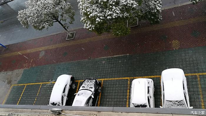 【圖】上海下雪,引擎蓋和後備箱圖案_奧迪a6l論壇_汽車之家論壇