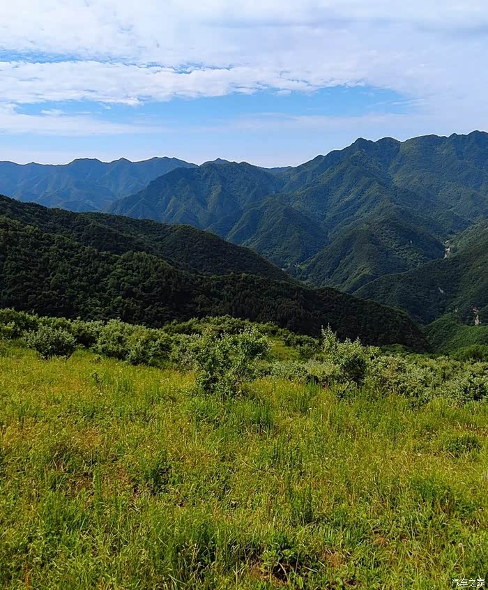 盛夏季节智美游玩秦岭的高山草甸