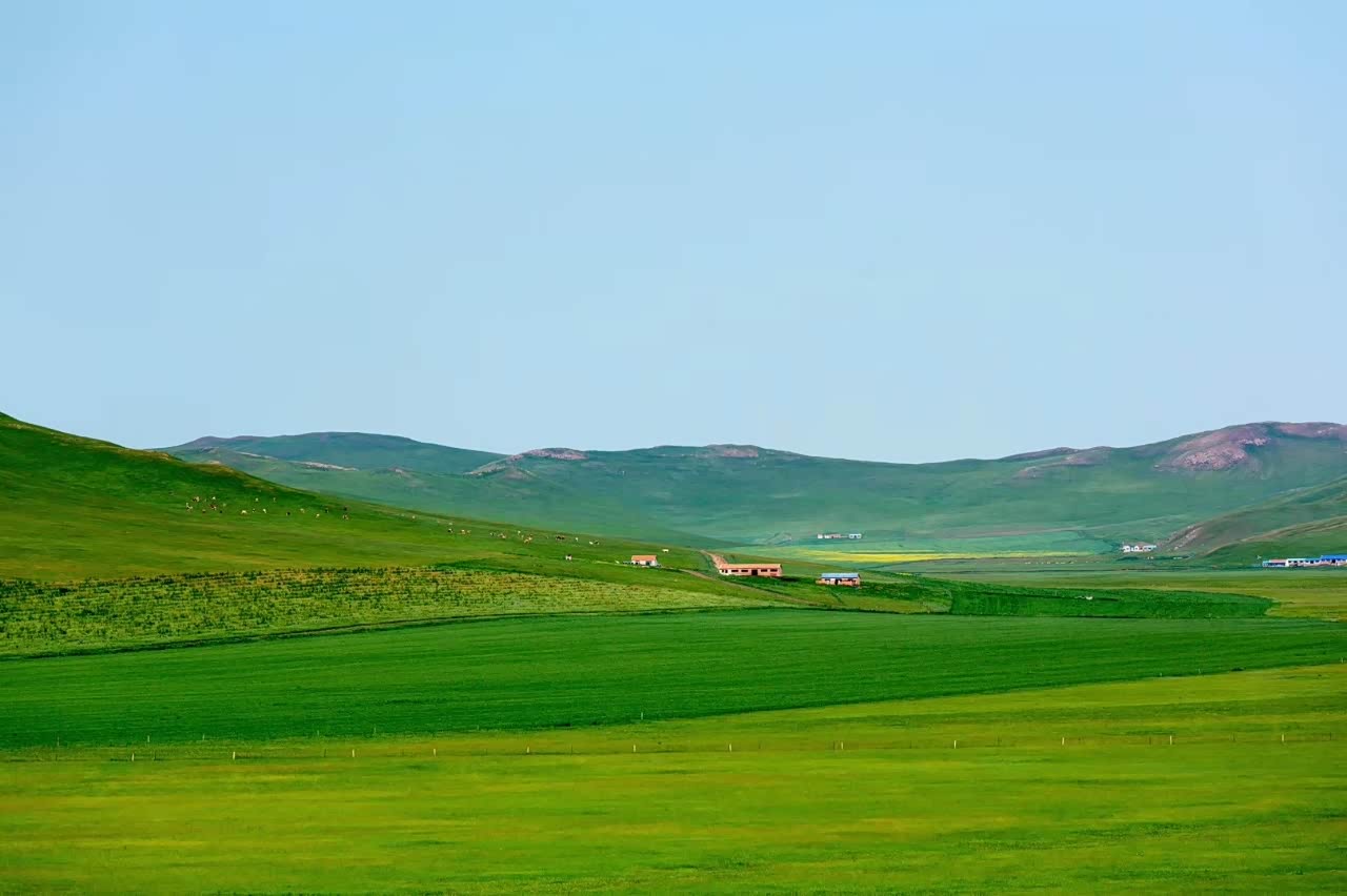 来到这平坦的大草原,享受生活的快乐.