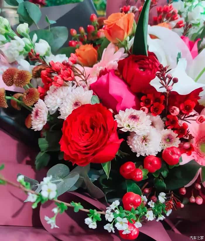 【你好2021】冬将尽,春可期,春暖花开,国泰民安